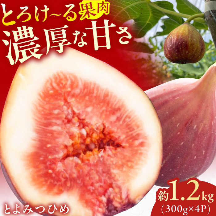 【ふるさと納税】【★先行予約★　2025年9月上旬より発送】とよみつひめ 約1.2kg(300g×4パック) 広川町/JAふくおか八女農産物直売所どろや[AFAB067]
