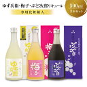 【ふるさと納税】柚子酒 梅酒 ぶどう酒 果実酒 低アルコール ほろよい リキュール500ml 3本セット 飲み比べ 日本酒 飛騨 舩坂酒造 プレゼントゆず兵衛 梅子 ぶど次郎 b593