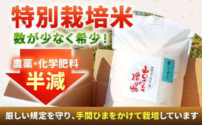 【令和7年10月以降順次発送】【令和7年度産】 特別栽培米 夢しずく（玄米） 5kg 【y'scompany】 [IAS023]