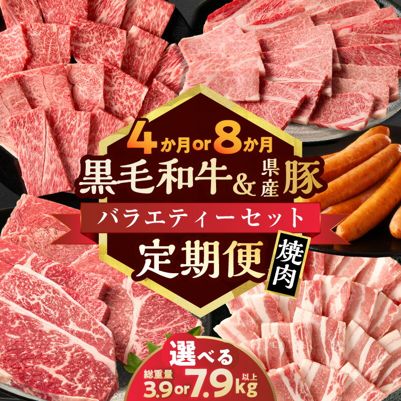 【ふるさと納税】≪選べる発送回数≫ 黒毛和牛 ＆ 県産豚バラエティー セット 焼肉 食品 加工品 国産 牛肉 豚肉 定期便 小分け 4回 8回 肩ロース 豚バラ ウデ モモ ウインナー BBQ バーベキュー 詰め合わせ おすすめ ギフト 贈り物 冷凍 ミヤチク 宮崎県 都農町 送料無料