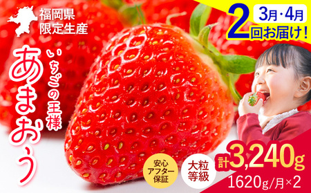 【2ヶ月定期便】いちご あまおう 先行予約 いちご大量 1620g フルーツ 苺 旬 訳あり 数量限定 ふるさと納税 不揃い 傷 4月 規格外 規格外果物 くだもの 果物 【着日指定不可】《2026年3月・4月頃出荷予定》 st-p