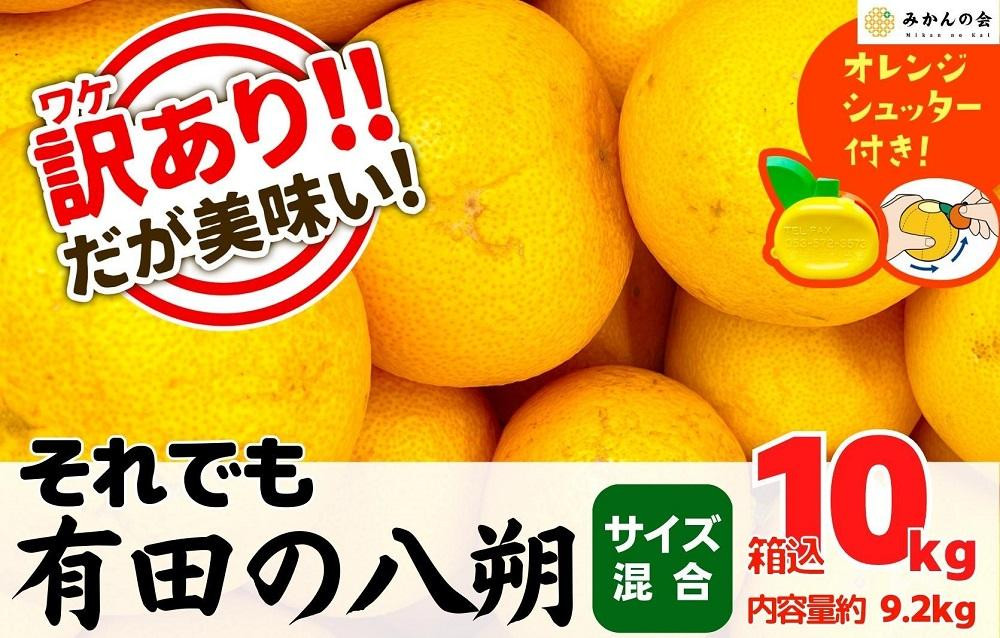 
訳あり それでも 八朔 (はっさく) 箱込 10kg (内容量約 9.2kg) サイズミックス B品 和歌山県産 産地直送【おまけ付き】【みかんの会】
