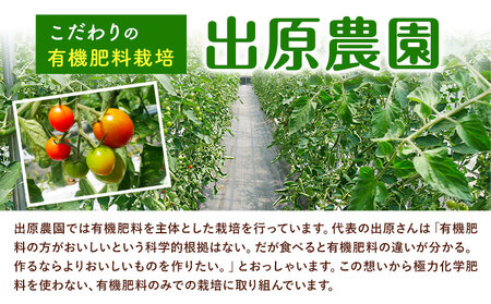 ミニトマト 約1kg 出原農園 《1月上旬-5月末頃出荷》 岡山県 矢掛町 野菜 ミニトマト もぎたて 新鮮 st-p