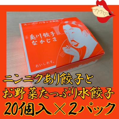 ふるさと納税 京都市 【夷川餃子なかじま】京都特産ぽーく「ニンニクあり餃子とお野菜たっぷり水餃子」のセット