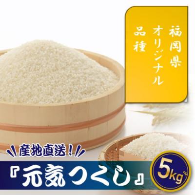 ふるさと納税 新宮町 特Aも獲得した自慢のお米『元気つくし』5kg【元気つくし】.AC359
