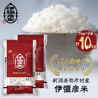 ふるさと納税 弥彦村 令和7年産特別栽培米コシヒカリ「伊彌彦米」10kg  ブランド米 新潟県 弥彦村