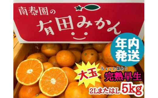 
                  年内発送 ちょっと 傷あり 完熟早生 有田みかん 大玉 2L または L サイズ 5kg 和歌山 南泰園 みかん
                