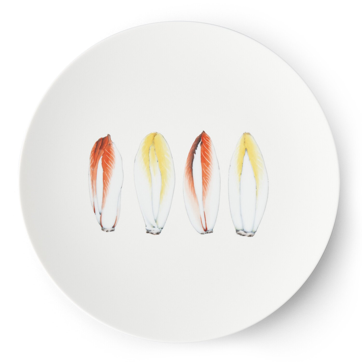 
【伊万里焼】プレート 平皿 Chicory φ29cm Plate H830
