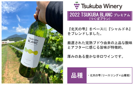 つくばワイナリー 満喫セット【お酒 葡萄 ぶどう ブドウ 茨城県産 つくば市産 ワイナリー ワイン ワイン ワイン ワイン ワイン 】