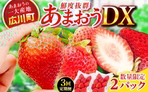 【3回定期便】博多あまおう 1ケース（270g×2P）いちご 苺 イチゴ ふるーつ くだもの フルーツ 果物 旬 福岡県産 小分け 広川町 / JAふくおか八女農産物直売所どろや [AFAB019]