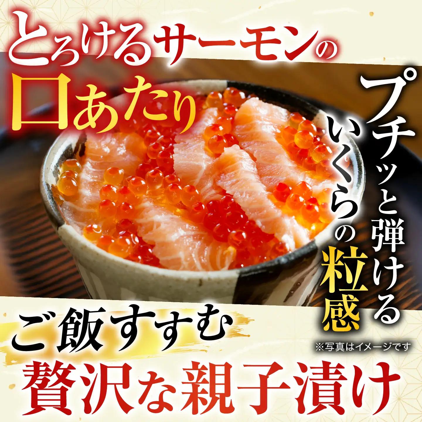 ＜鮭匠ふじい＞いくら・サーモンづくし C-42015