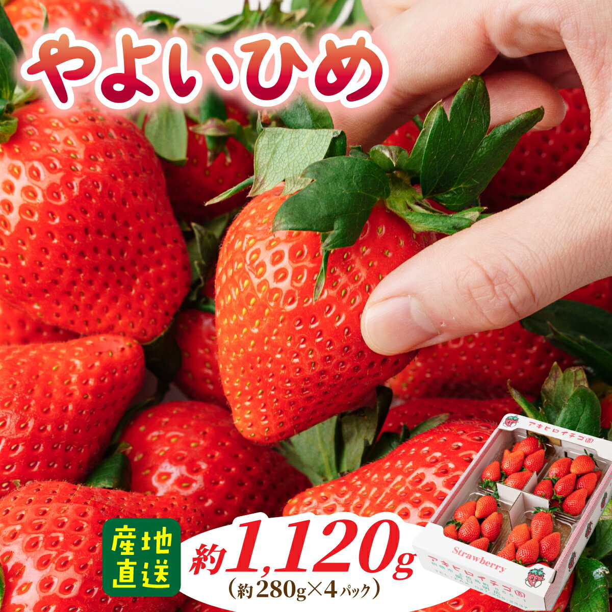 【ふるさと納税】家庭用いちご やよいひめ 約280g×4パック（箱入り） 合計1120g｜ 朝採れ やみつき高品質 たっぷり 贈答用 新鮮 完熟 いちご 旬 苺 ストロベリー 高級 産地直送 果汁 甘い あまい 人気 高評価 高糖度 ごほうび プレゼント 群馬県 前橋市
