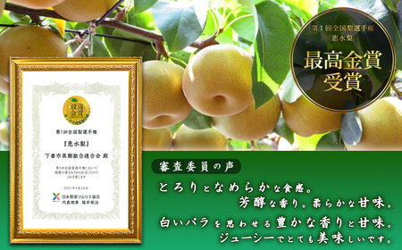【全国梨選手権 最高金賞受賞】茨城県産「恵水」梨5kg【2026年8月下旬～9月中旬にかけて発送予定】【 梨 なし ナシ 茨城県梨 下妻梨 人気梨 果物梨 フルーツ梨 果物 フルーツ 】
