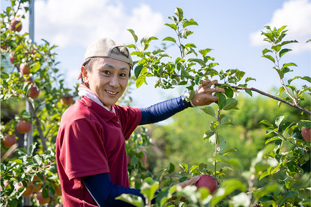 【レビューキャンペーン】【25年10月～発送】りんご 權之丞farm 早生ふじ 家庭用 約2kg（5～10玉程度）