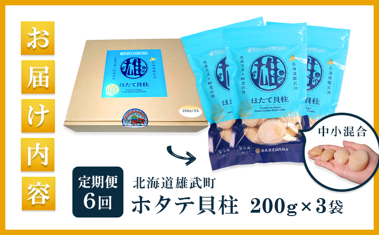 【定期便6回】　北海道雄武町産ほたて貝柱 中小混合 200g×3 (冷凍) 使い切りパック【07140】
