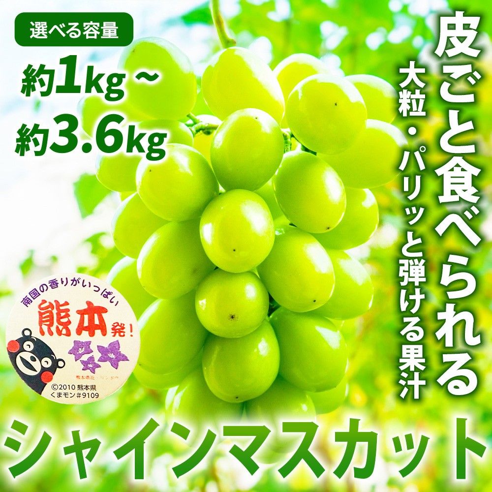 
                  先行予約 シャインマスカット 選べる容量 約1kg 約1.2kg 約1.8kg 約3.6kg【2026年7月下旬～2026年8月下旬発送予定】フルーツ 果物 くだもの ぶどう ブドウ 葡萄 国産 高品質 高級 甘い 香り 産地直送 ご褒美 贅沢 デザート 日本フルーツ
                