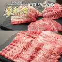 【ふるさと納税】 蓼科牛食べ比べCセット | 国産 肉 牛肉 牛 お肉 食べ比べ セット 焼肉 焼き肉 BBQ バーベキュー お取り寄せ グルメ 蓼科牛 ふるさと 信州 長野県 立科町 蓼科