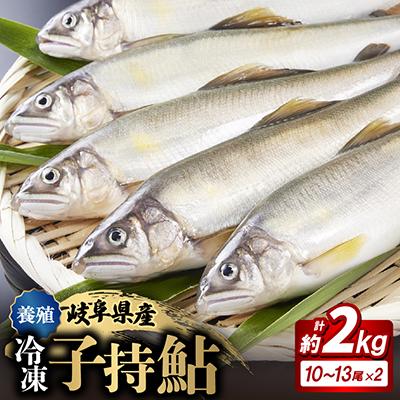 ふるさと納税 輪之内町 冷凍子持鮎　約2kg【約1kg(10〜13尾)×2P】