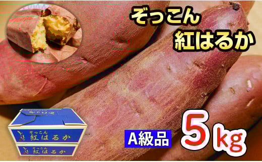 ぞっこん 紅はるか A等級 5㎏ Mサイズ 産出額 全国 No. 1 茨城 鉾田 さつまいも 干し芋 焼き芋 としまる