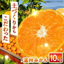 【ふるさと納税】【自然の力を活かした栽培】温州みかん（普通） 10kg -2024年12月下旬より発送- 長与町/農事組合法人希望種（きぼうのたね）[ECQ006] 先行予約 温州 みかん ミカン 蜜柑 柑橘 除草剤不使用 長崎県 長与町 フルーツ 果物 旬 お取り寄せ