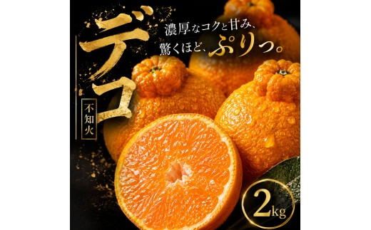 【早い者勝ち】 深い甘み 【デコ（不知火）（デコポンと同品種）】2kg 愛媛県産 【2027年1月下旬頃から順次発送】 | でこぽん しらぬい shiranui みかん ミカン mikan 蜜柑 訳ありフルーツ 柑橘 果物 おすすめ お勧め お取り寄せ ギフト 愛媛県 松山市