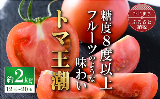 
            2025年1月中旬から順次発送＜糖度8度以上＞あま～いトマト「トマ王 潮」約2kg【1087106】
          