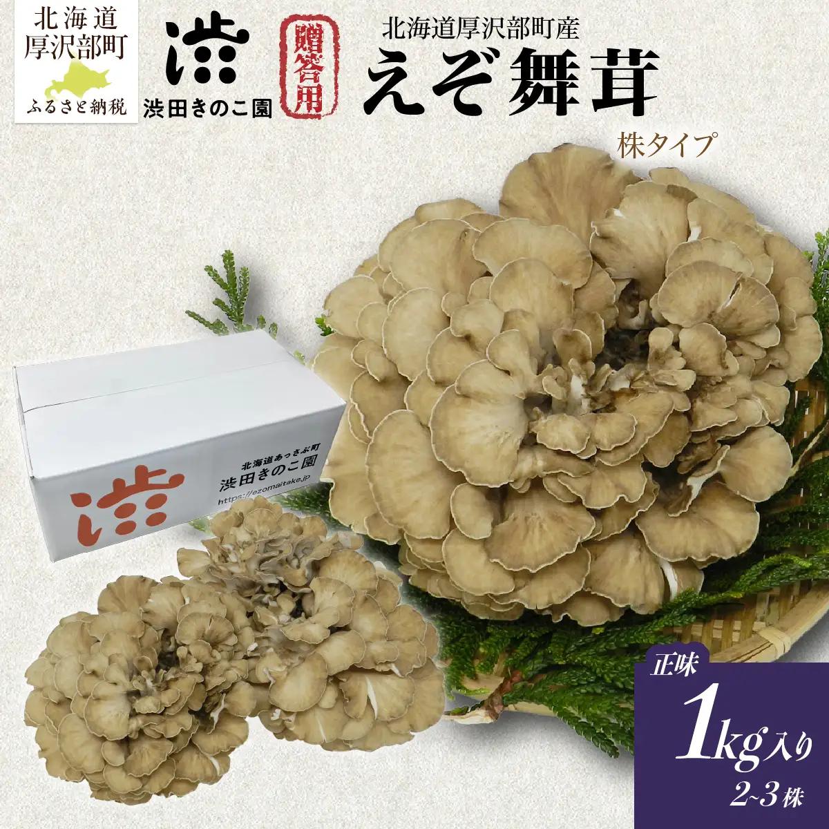 【肉厚・香り豊か】厚沢部の極み えぞ舞茸 正味1kg入り (2～3株) 贈答用（株タイプ） 北海道厚沢部町産 渋田きのこ園 冷蔵直送 ASM007