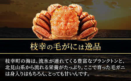 冷凍ボイル毛ガニ 400g前後×2尾［オホーツク枝幸産］山上佐藤水産 カニ かに 毛ガニ 北海道 海鮮