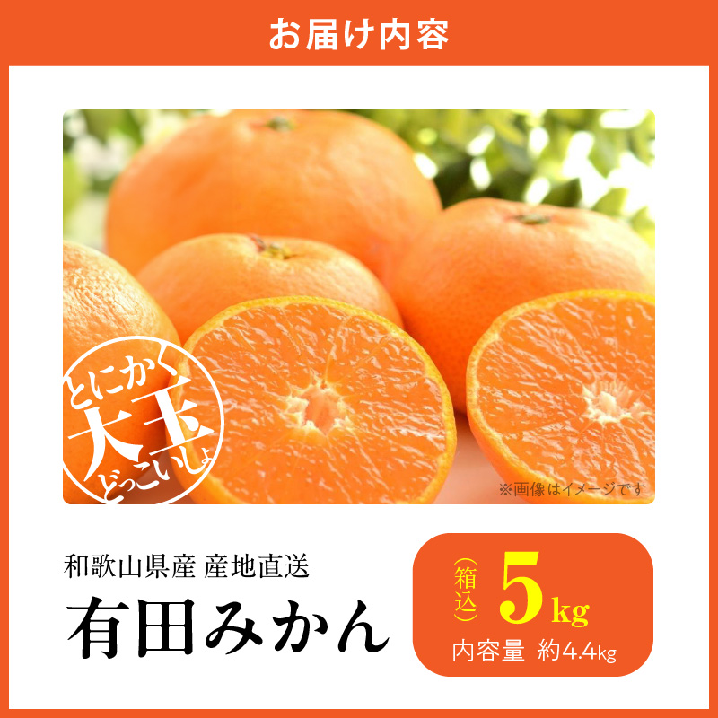 MK1033_【2025年先行予約】みかん 大玉 どっこいしょ 箱込 5kg ( 内容量 4.4kg ) 2Lサイズ以上 秀品 優品 混合 有田みかん 和歌山県産 産地直送 【みかんの会】