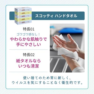 ふるさと納税 岩沼市 ペーパータオル スコッティ ハンドタオル 5箱 × 12パック入り[No.5704-0417] |  | 01