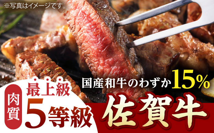 佐賀牛 サーロイン ステーキ 600g【山下牛舎】 [HAD027] 肉 牛肉 サーロインステーキ 焼肉 和牛 焼肉 焼き肉