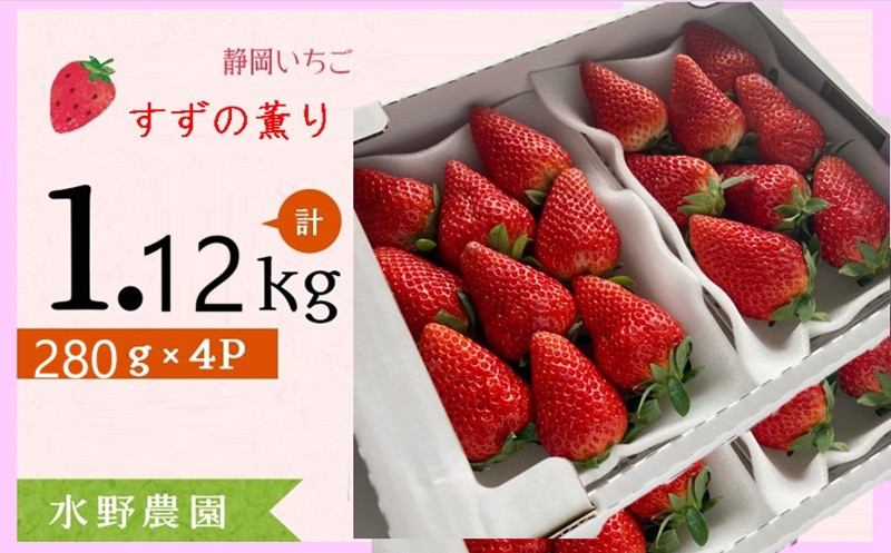 
６２７６　いちご 掛川産 完熟いちご すず薫り280g×４P 1.12ｋｇ (1Ｐ:5～15粒入) ①1月 ②2月 の中から発送時期をお選び下さい 水野農園 ( ミズノ農園 ）
