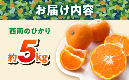 【先行予約】【約5kg】西南のひかり 蜜柑 ミカン みかん 果物 みかん 柑橘 みかん フルーツ 横須賀【志村農園】 [AKGH005-2]