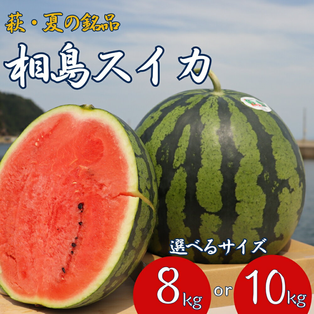 【ふるさと納税】スイカ 萩・夏の銘品 相島 西瓜 秀品 大玉すいか フルーツ 果物 果物類 贈答品 ギフト