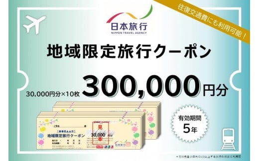 福岡県福岡市 日本旅行 地域限定旅行クーポン300,000円分