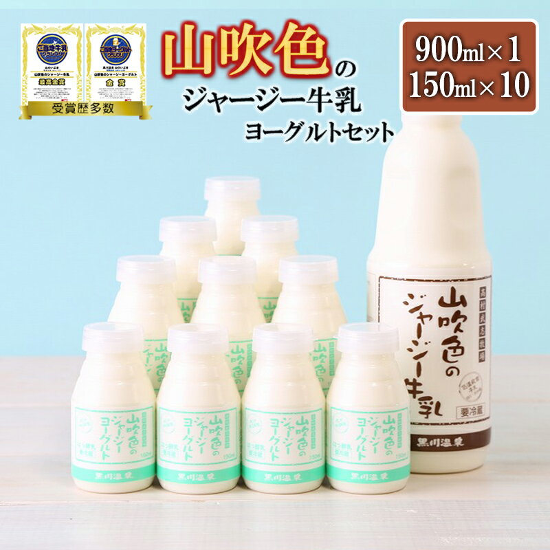 【ふるさと納税】ゴールデンミルク 牛乳 900ml 飲むヨーグルト 150ml 詰め合わせ ギフト 贈答 セット 飲料 熊本 阿蘇 小国郷 小国町 最高金賞 山吹色のジャージー牛乳 最高金賞 金賞 味の評価審査賞 購買意欲審査賞 味覚賞 送料無料