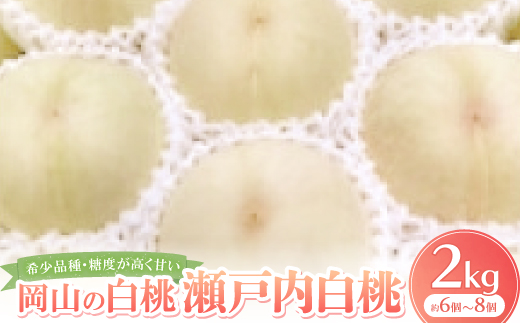 
            ＜先行予約・2025年8月下旬~9月上旬頃発送予定＞希少品種・岡山の白桃・瀬戸内白桃(2kg箱)【1536160】
          