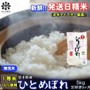 【ふるさと納税】★新鮮！発送日精米★『定期便9ヵ月』ひとめぼれ【無洗米】5kg 令和6年産 盛岡市産 ◆1等米のみを使用したお米マイスター監修の米◆　定期便　お届け：2024年10月上旬より順次発送