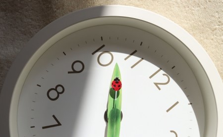 とまり木の時計 mini / てんとう虫（SUR20-06 TENTO） Lemnos　レムノス 時計 春の新生活