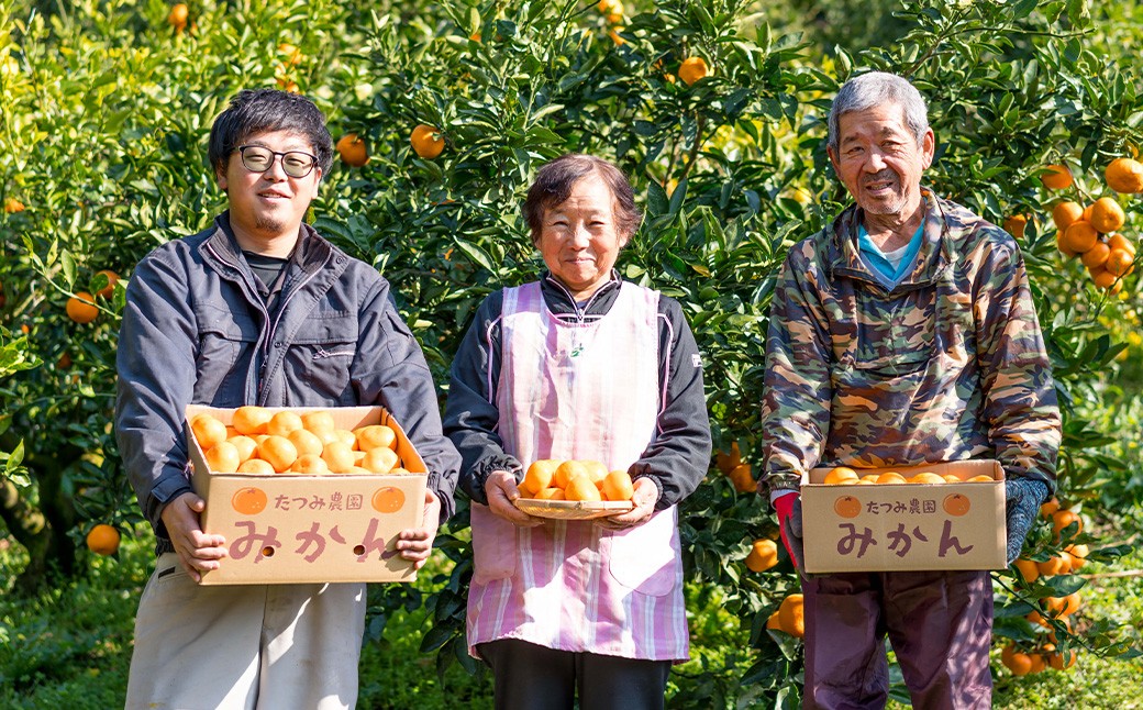 辰見農園の完熟みかん 10kg