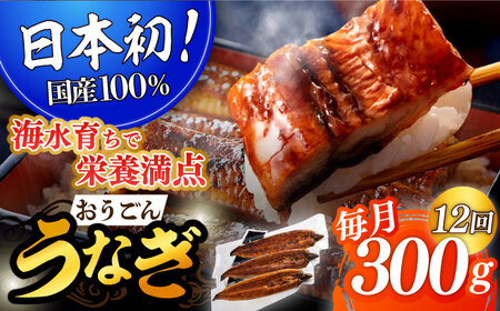 【12回定期便】おうごん うなぎ 300g【（有）松永水産】[KAB140]/ 長崎 平戸 魚介類 魚 うなぎ 鰻 ウナギ うなぎ 蒲焼 うなぎ かばやき うなぎ うなぎ蒲焼き うなぎ おうごんうなぎ うなぎ 黄金うなぎ うなぎ うなぎの蒲焼き うなぎ うなぎのタレ うなぎ 定期便