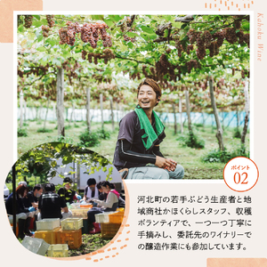 【河北町産ぶどう100％使用・微発泡デラウェアワイン】Delaware 2024（750ml×1本）【かほくらし社】