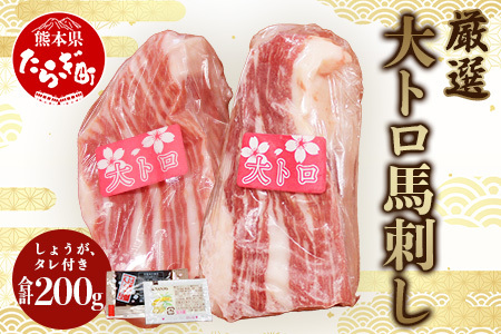 【霜降り】厳選 大トロ 馬刺し 200g ＜ 大トロ 100g×2 / 醤油 生姜 セット ＞ 馬肉 冷凍 熊本馬刺し 熊本馬肉 新鮮馬刺し 贅沢馬刺し 大トロ馬刺し 中トロ馬刺し 馬刺し食べ比べ 霜