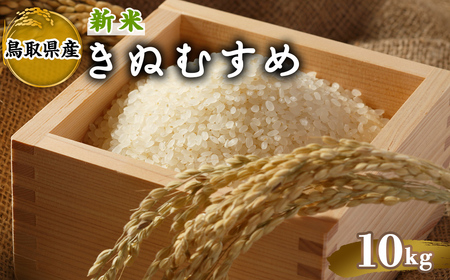 ＜先行予約受付中！2025年10月中旬～2026年8月下旬発送予定＞＜数量限定＞令和7年産新米鳥取県産きぬむすめ(10kg) 国産 米 お米 おこめ 白米 精米 おにぎり おむすび ごはん お弁当 常温 【sm-DD067】【Workplays】