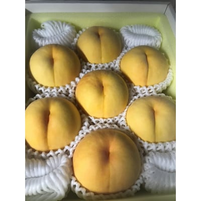 【2025年先行予約】8月上旬頃より発送・岡山県産・マンゴーの様な黄色い桃・黄金桃(1.5kg箱)【配送不可地域：離島】