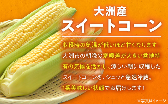 【先行予約】【6月中旬より順次発送】あま〜いスイートコーン（L〜2Lサイズ）15本入り　愛媛県大洲市/沢井青果有限会社 [AGBN007]コーン とうもろこし トウモロコシ とうきび チーズ 味噌ラー