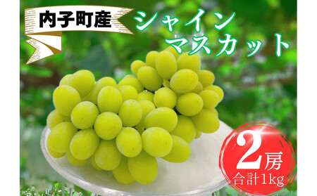 【先行予約】シャインマスカット 秀品 2房 約1kg ＜2026年8月下旬から発送開始＞ ／ シャインマスカット 大人気 愛媛県 美味しい 人気 皮ごと 葡萄 ブドウ 愛媛県産 内子町産 新鮮 旬 フルーツ 果物 くだもの【株式会社フジ・アグリフーズ】[BKAY003]