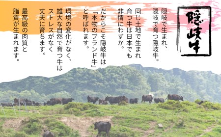 【黒毛和牛 定期便3ヵ月】幻の隠岐牛上赤身ロースすき焼き 黒毛和牛 牛肉 肉 A4 A5 ブランド牛 ロース すき焼き 上赤身 定期便 年末年始 お正月 お歳暮 御歳暮 ギフト