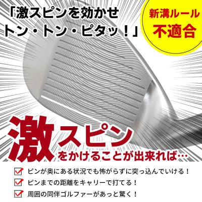 ふるさと納税 東大阪市 [48°/S相当][スチールシャフト][右利き男性用]Larouge スピンウェッジ 1本 |  | 01