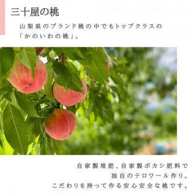 三十屋こだわり桃【3個入 1kg以上】【配送不可地域：離島・沖縄県】